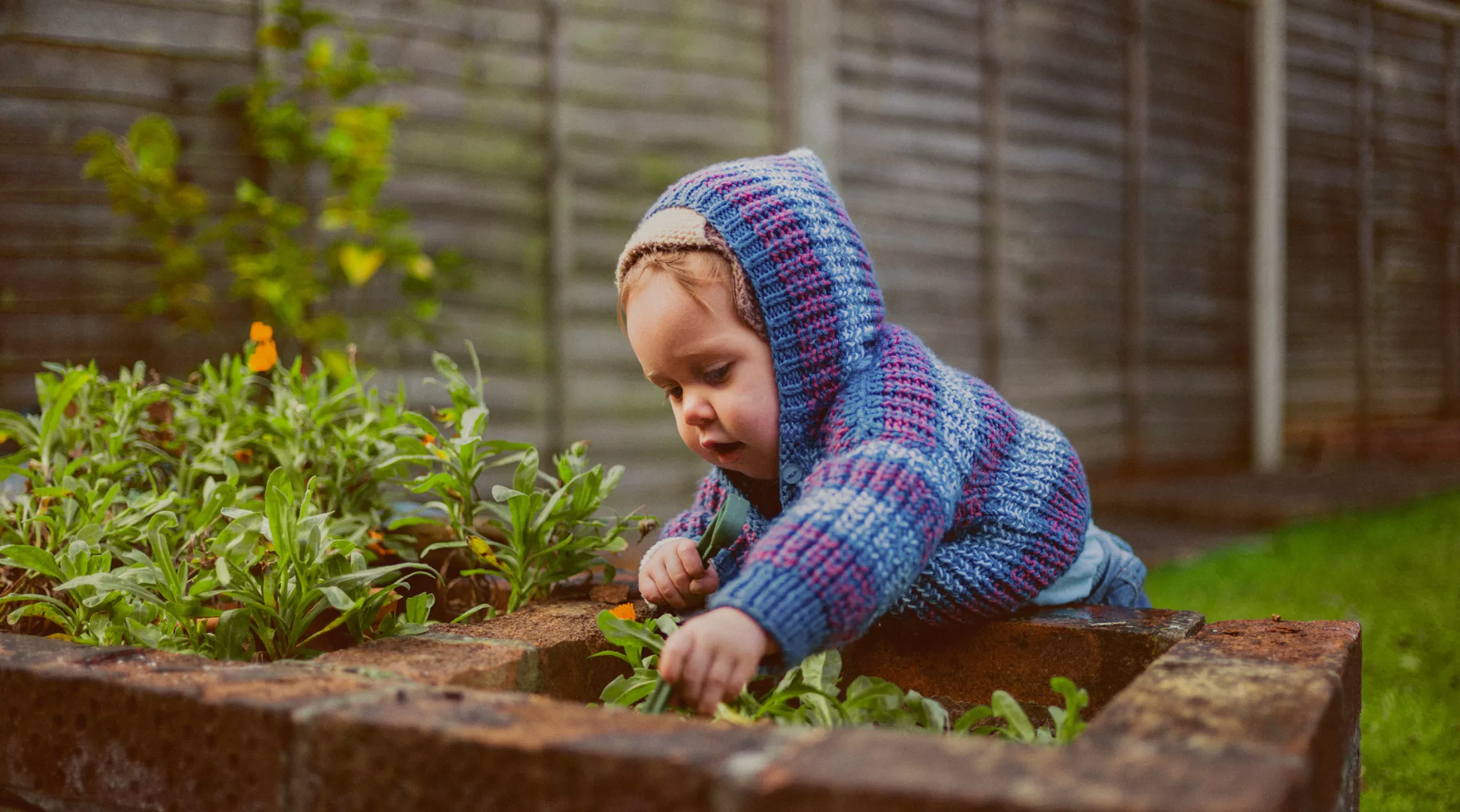 A young child playing outside in the garden.