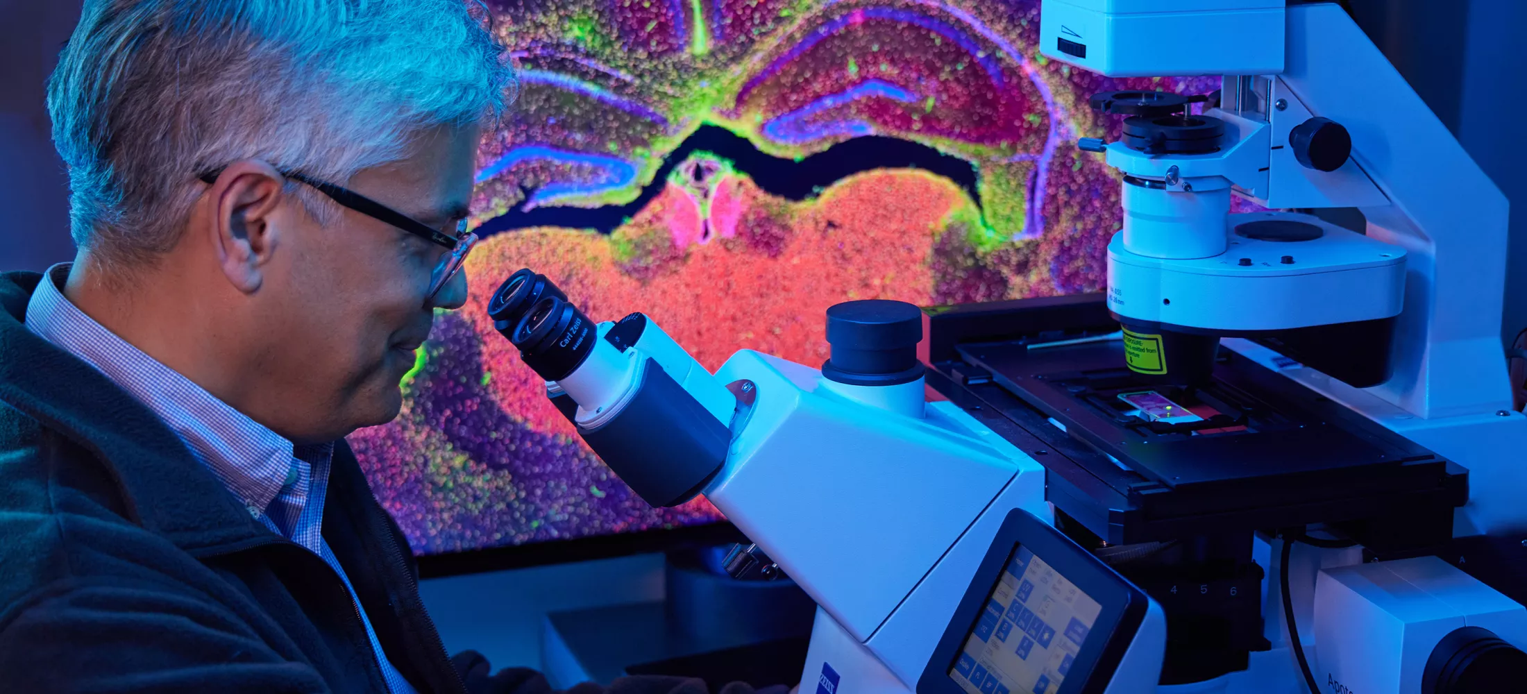A researcher looking through a microscope in a lab
