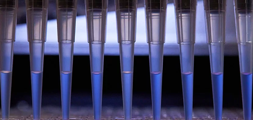 Research pipettes in a lab