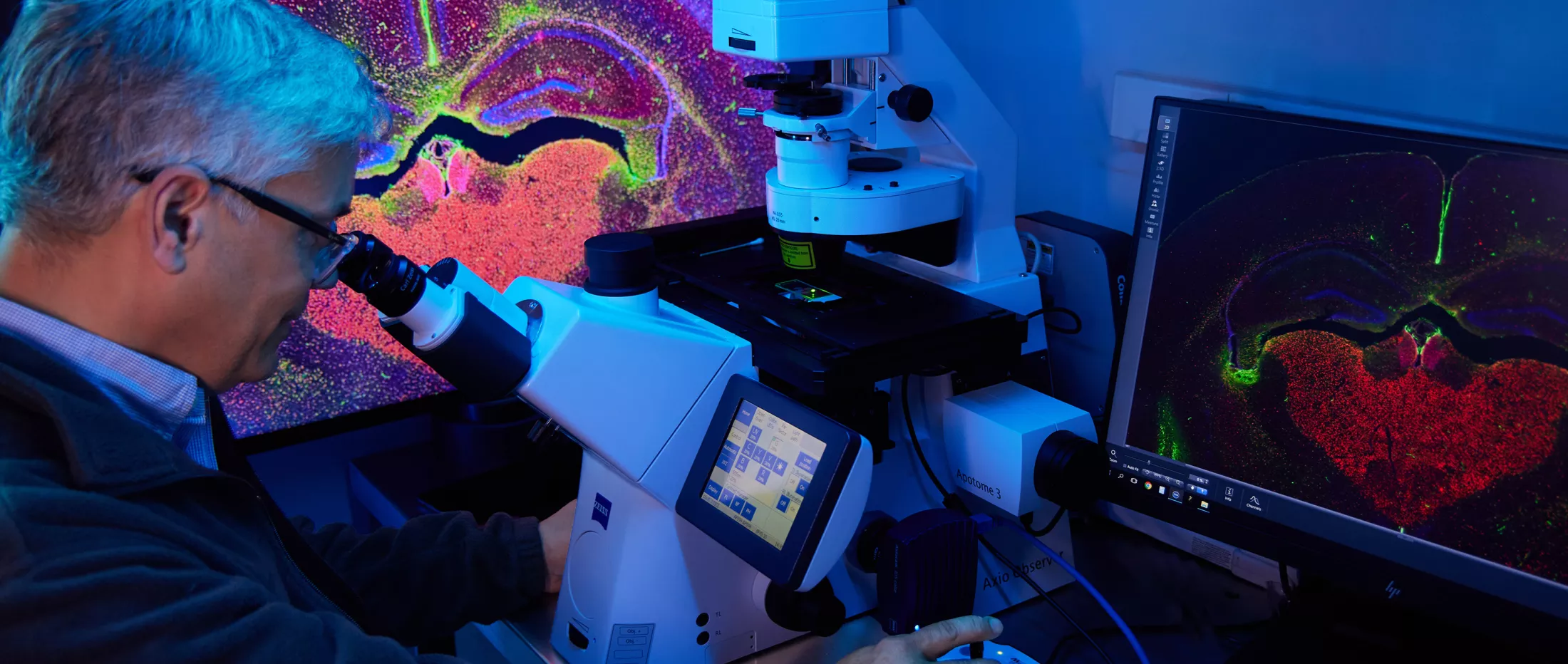 A researcher looking through a microscope