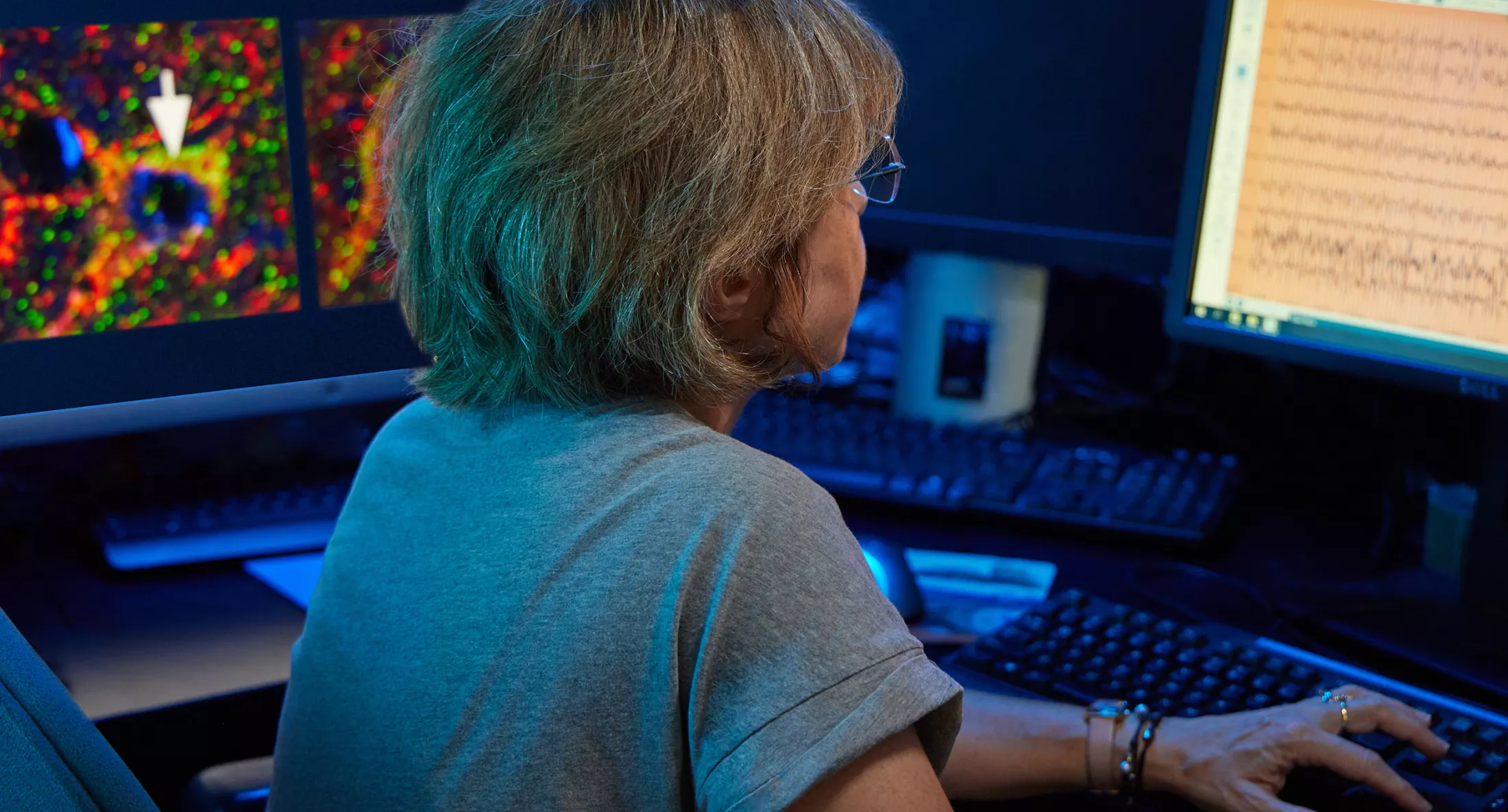 A researcher working on a computer