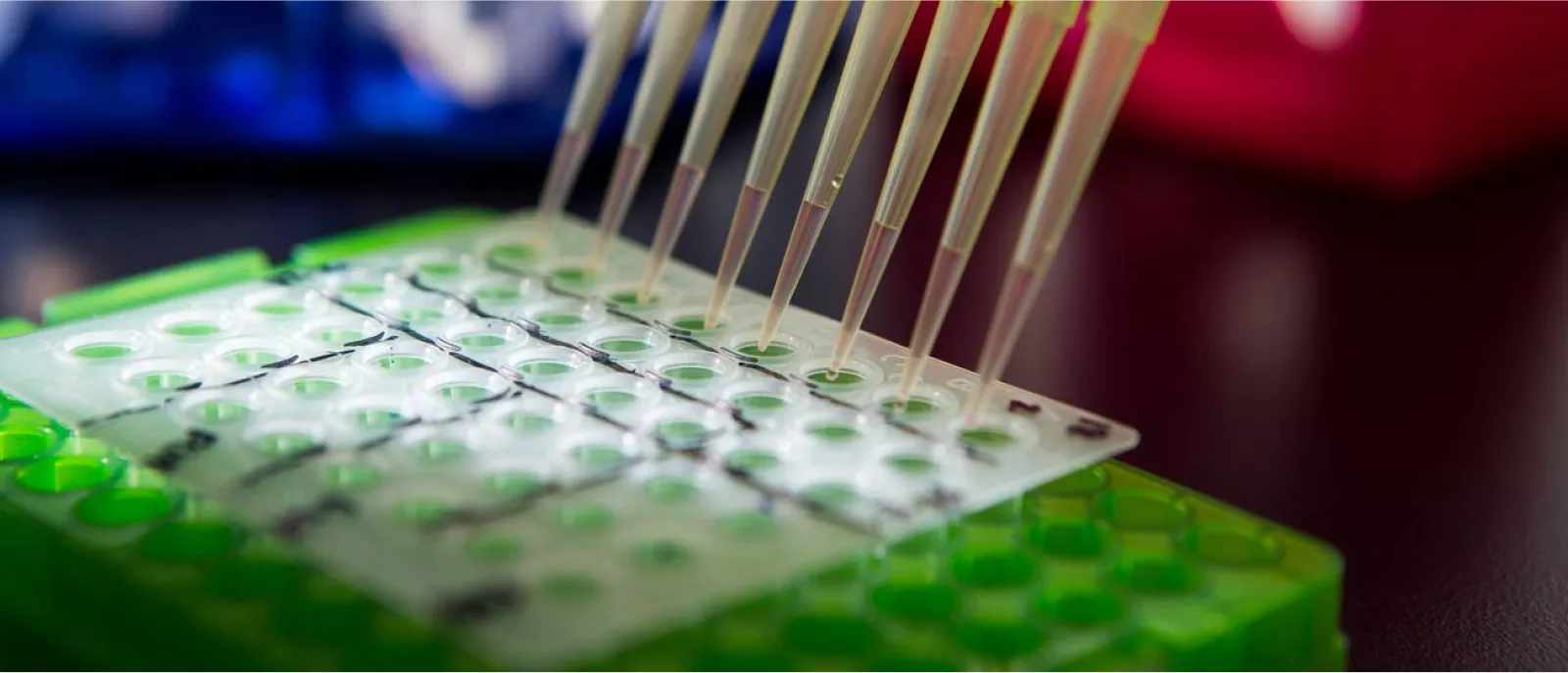 A shot of pipettes in a laboratory