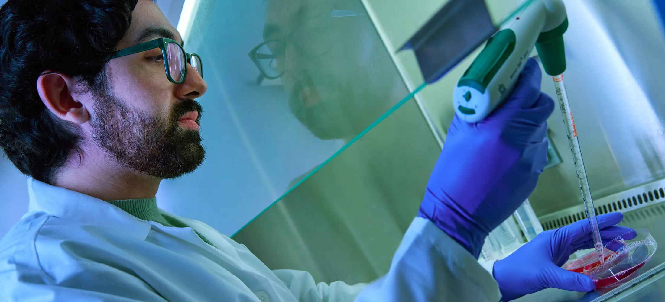 A lab researcher putting a sample into a petri dish