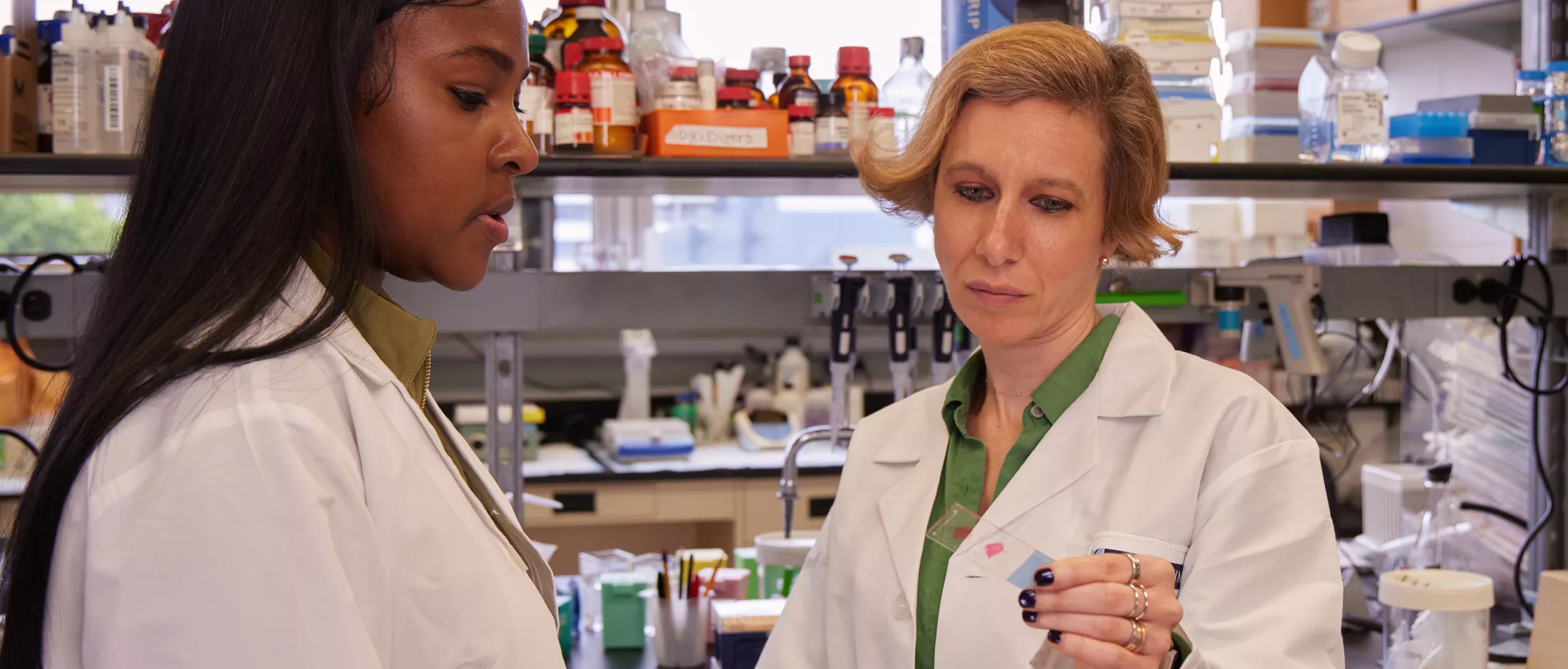 Two scientists in a lab looking at a sample