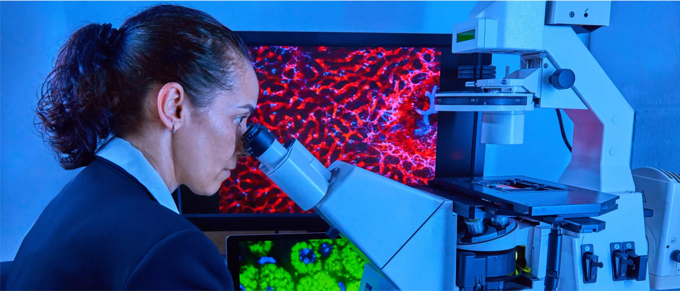 Scientist at Albert Einstein College of Medicine observing slides with microscope