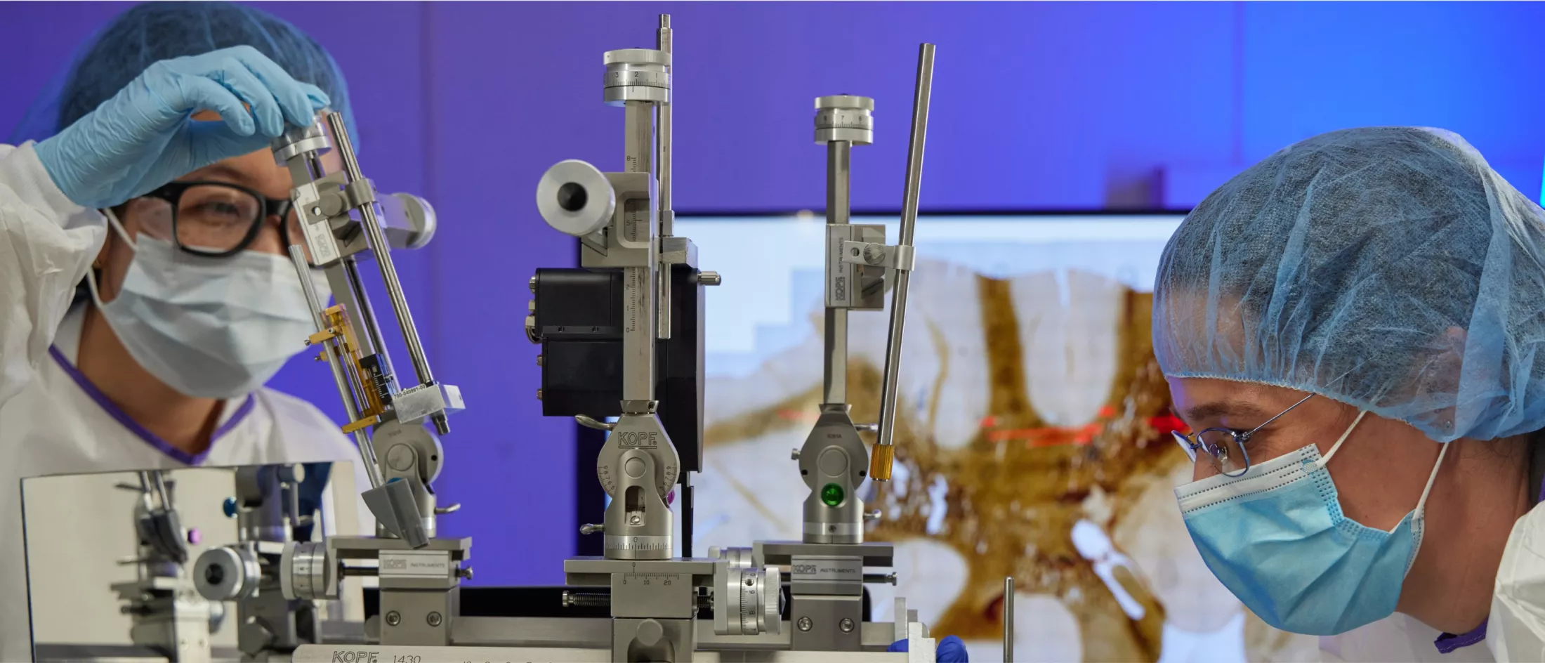 Two scientists conducting research in laboratory