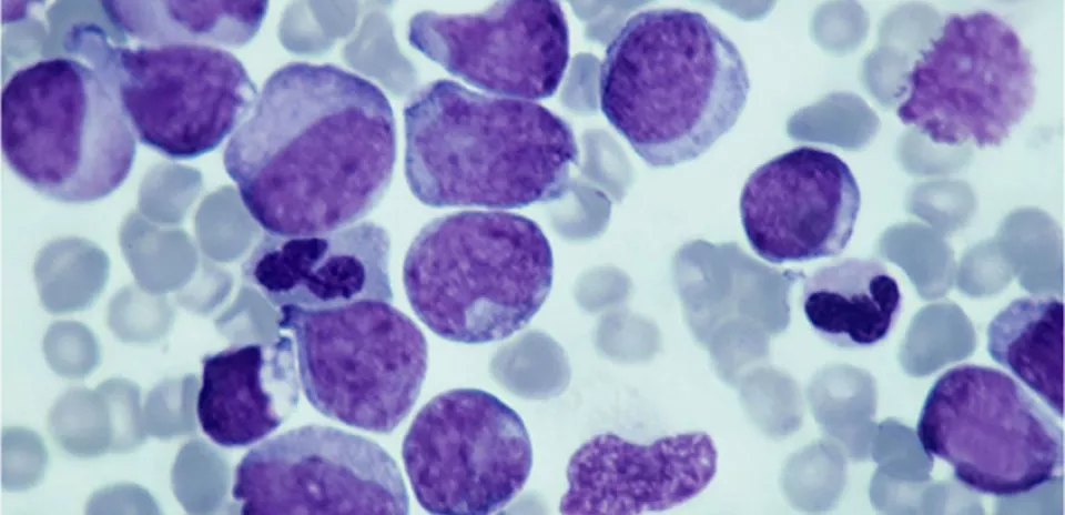 MECC_Research_CEPC_Interior_Tablet