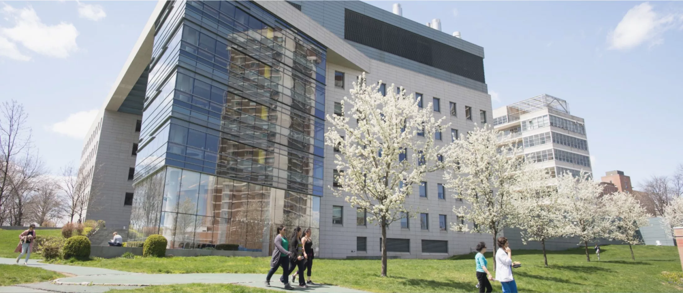 Albert Einstein College of Medicine