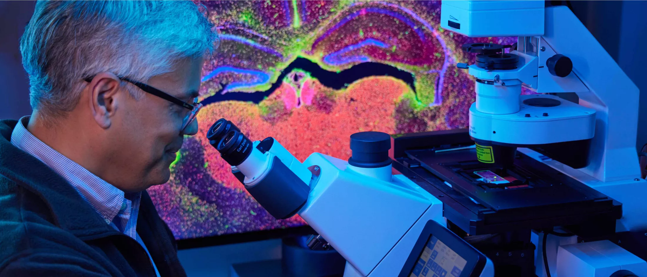 Doctor looking through a microscope