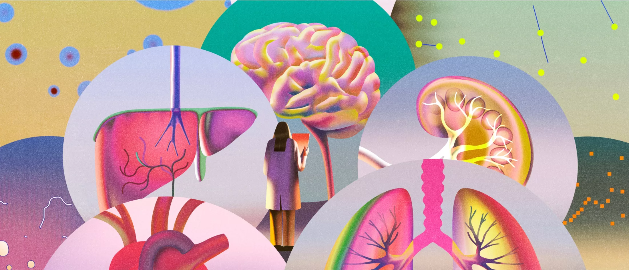 Artistic illustration of person standing amongst anatomical representations of areas of care