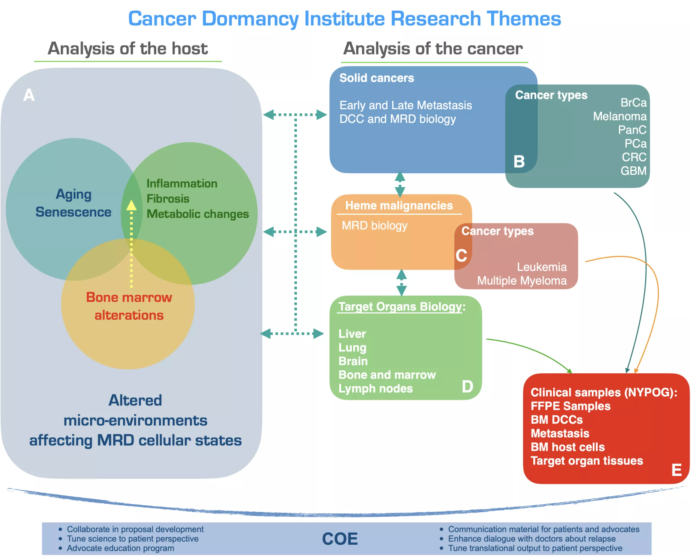 CDI Research Themes - a flowchart detailing the CDI's approach to analysis of cancer and the host to study cancer dormancy and relapse