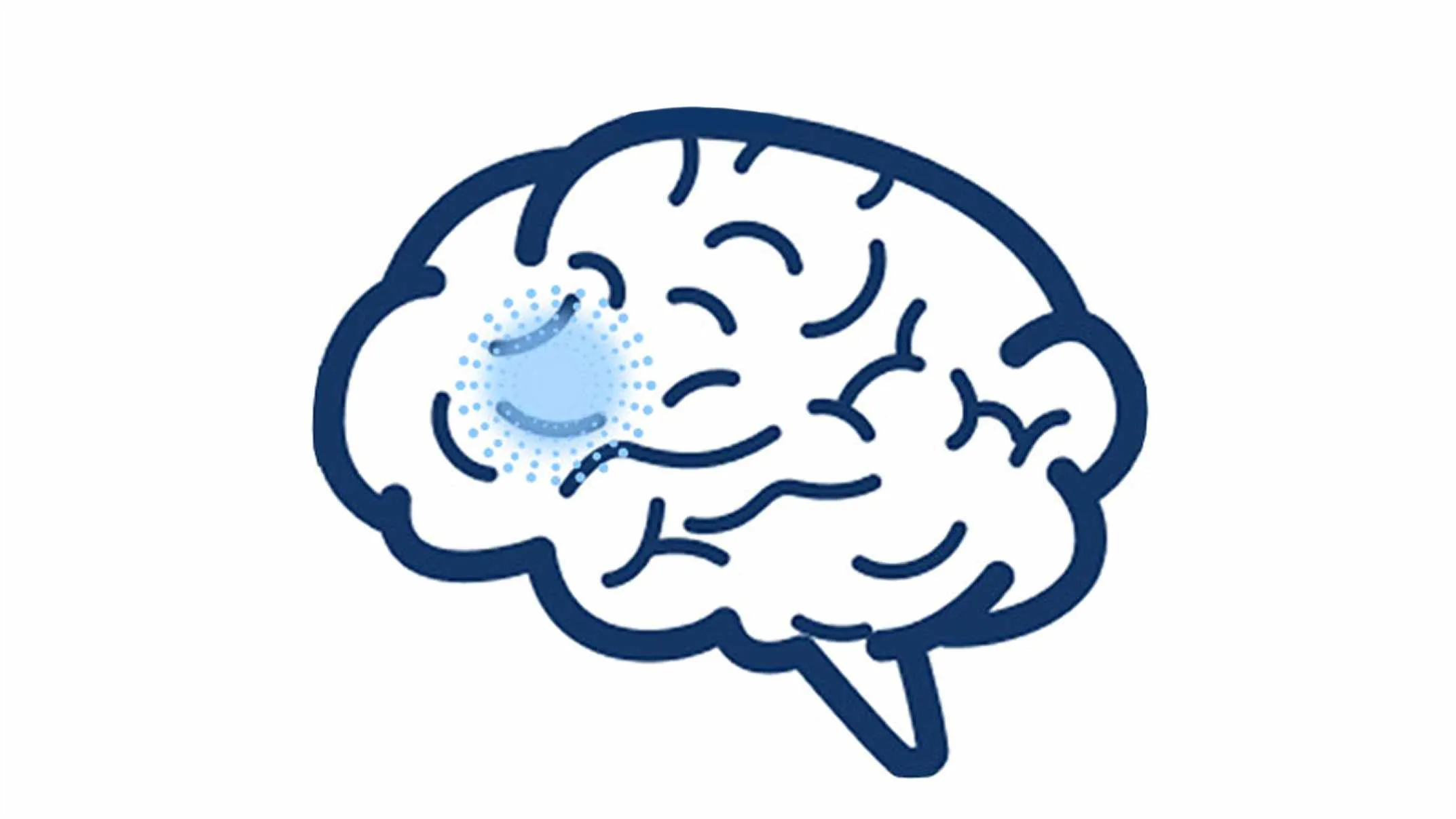 Illustration of brain