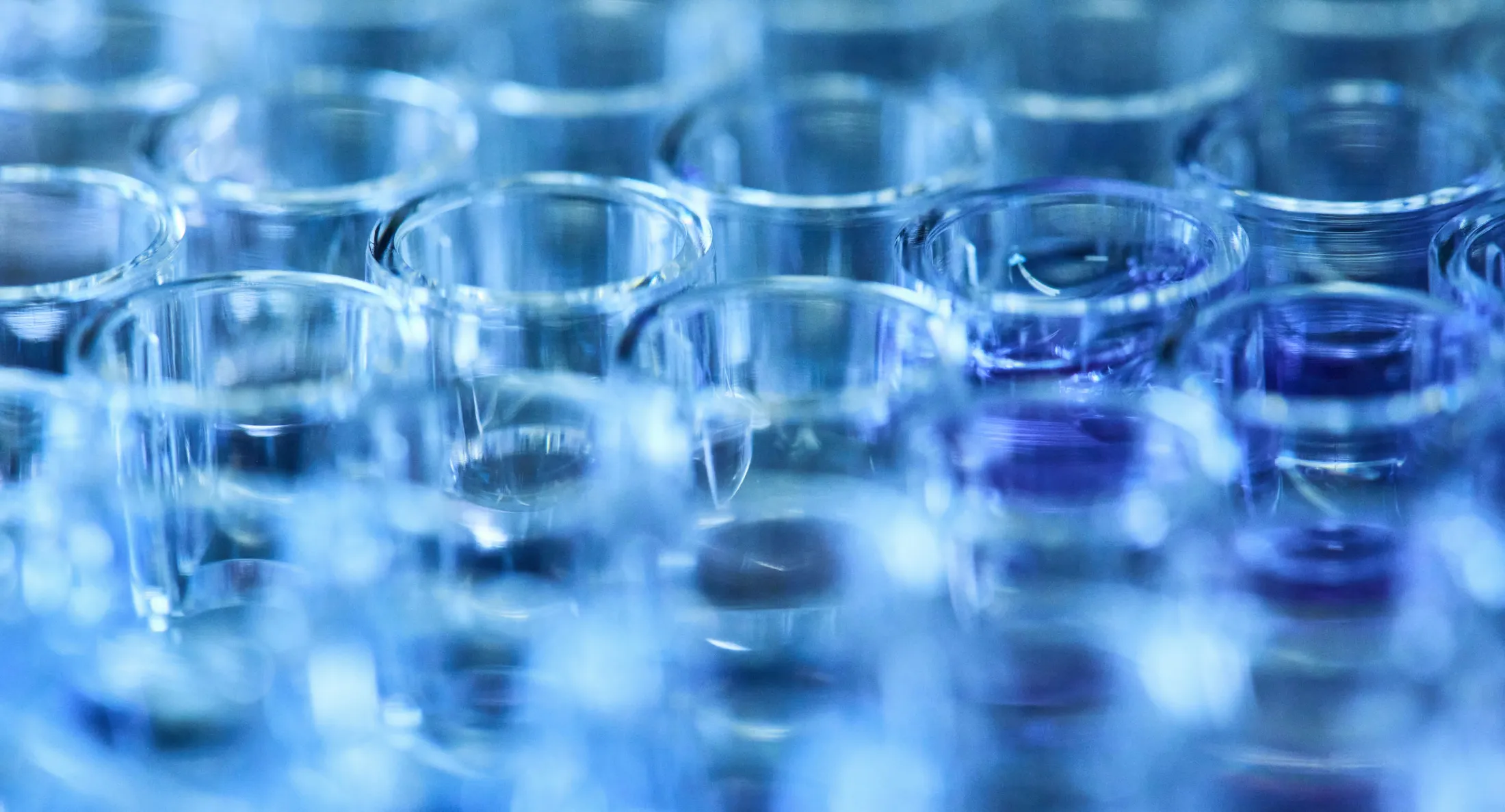 Close-up of rows of empty transparent lab vials with a blue tint.