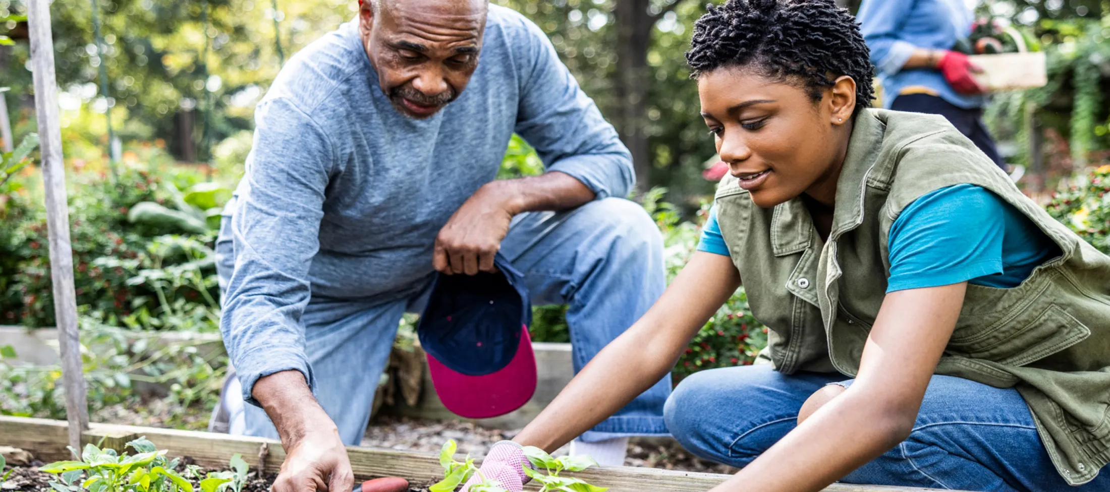 Two people planting a vegetable garden.