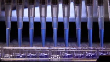 Automated pipettes filling test tubes