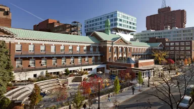 Montefiore Einstein Hospital, Moses Campus
