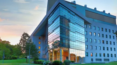 Modern glass building reflecting trees and sky during a colorful sunset.