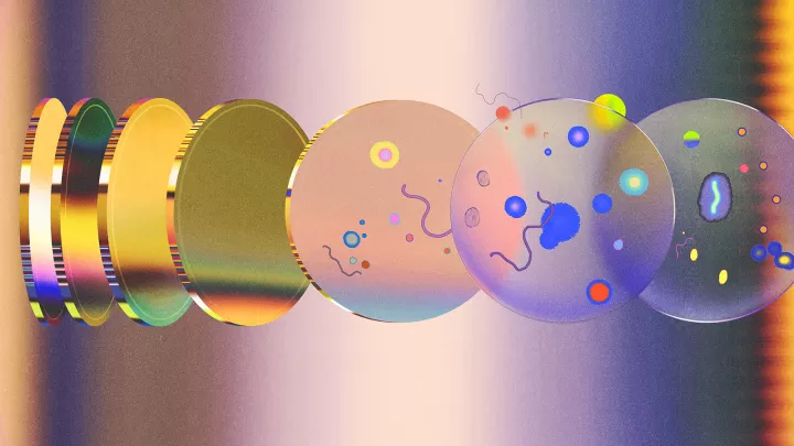 Illustration of donation to support research