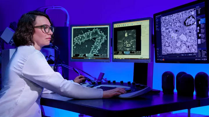 A researcher sitting in front of computer monitors