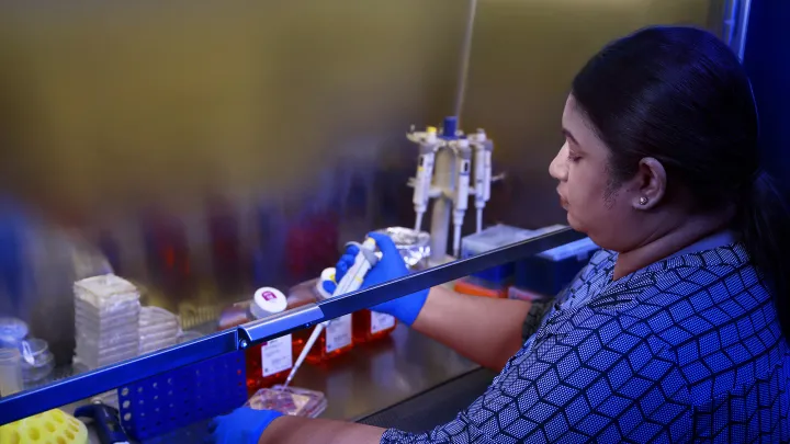 Scientist in blue gloves using a pipette in a laboratory biosafety cabinet surrounded by lab equipment.