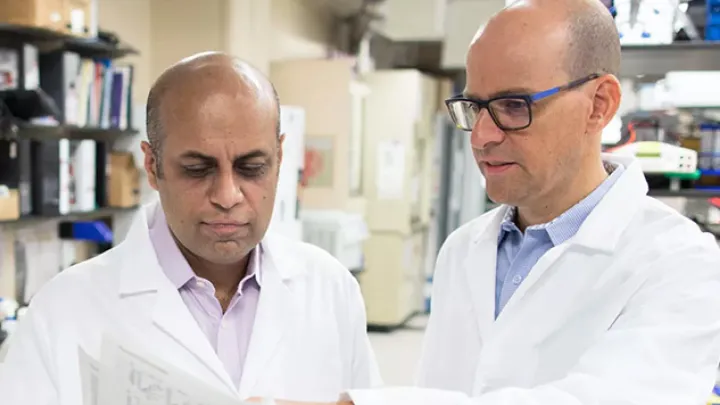 Two scientists in lab coats reviewing printed data together in a laboratory setting.
