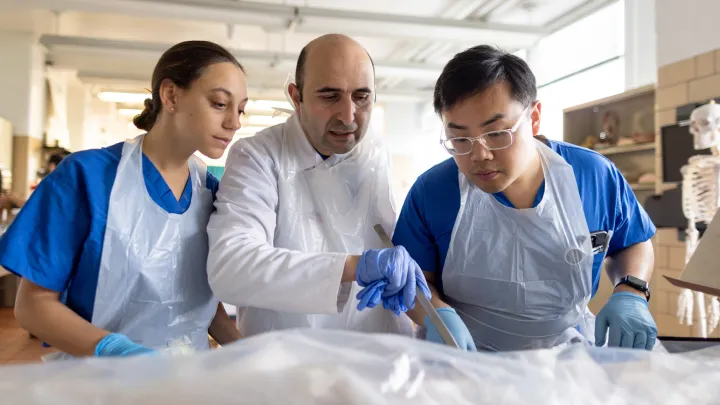 Medical teacher guiding two students through a hands-on anatomical exercise in a bright classroom setting.