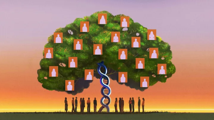 An illustration of a family tree
