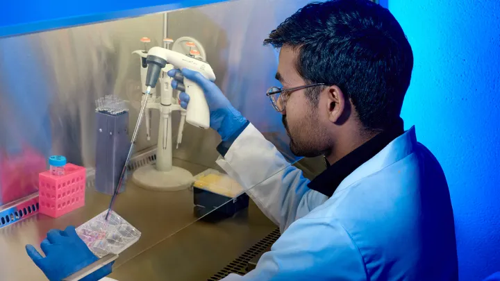 Lab tech testing samples