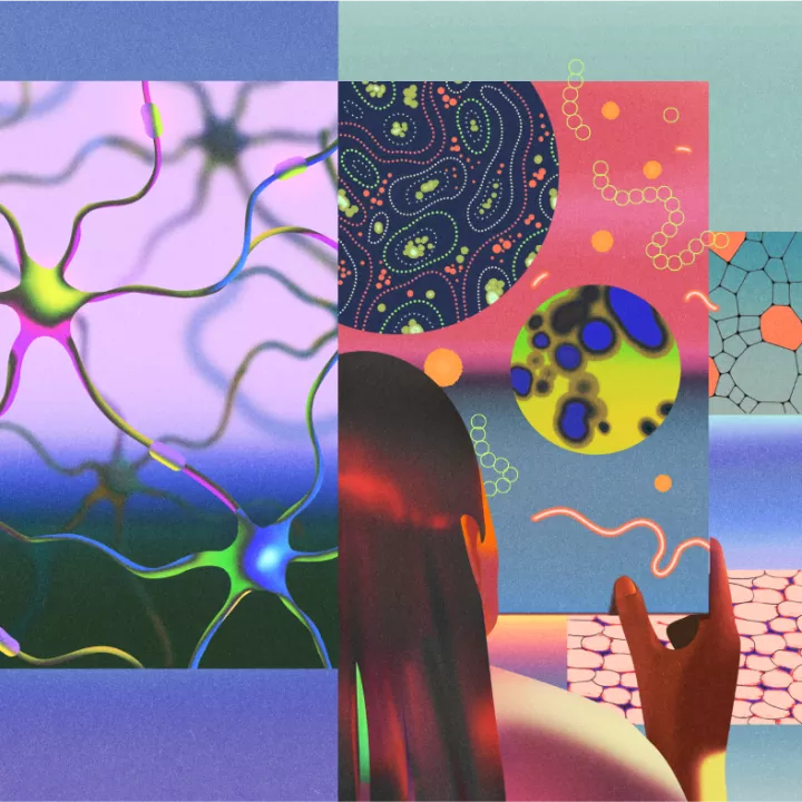 Accelerating the Pace of Discovery