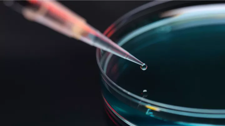A pipette deposits a drop of liquid into a petri dish against a dark background.
