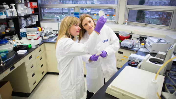 Ladies working in lab