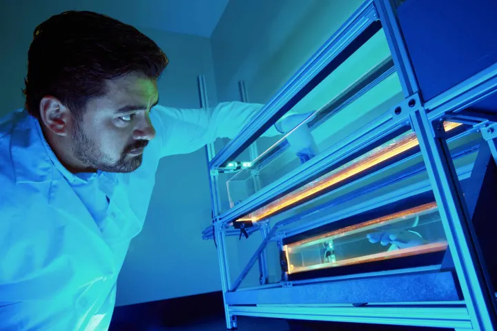 Doctor looking at an equipment in a neuro lab