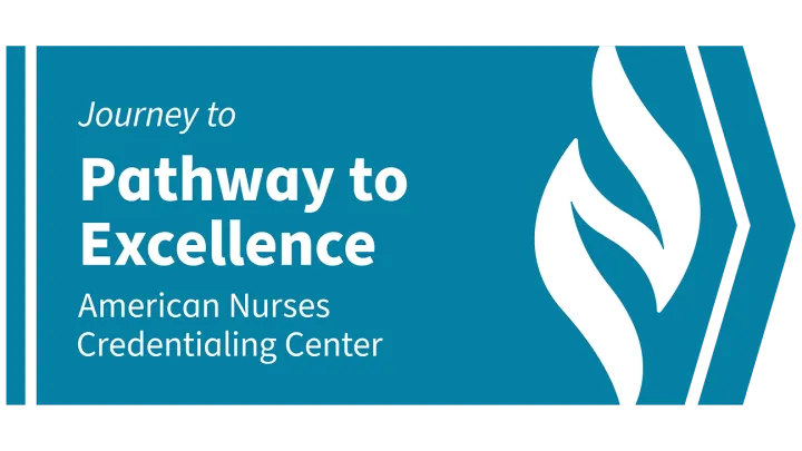 Pathway to Excellence logo