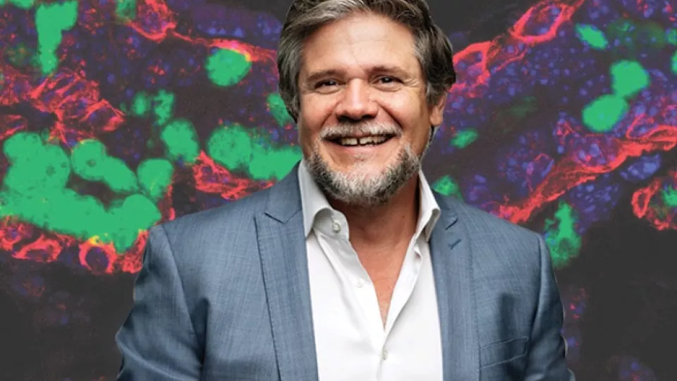 Confronting Cancer at MECC: Targeting Cancer Cells for Dormancy and Death