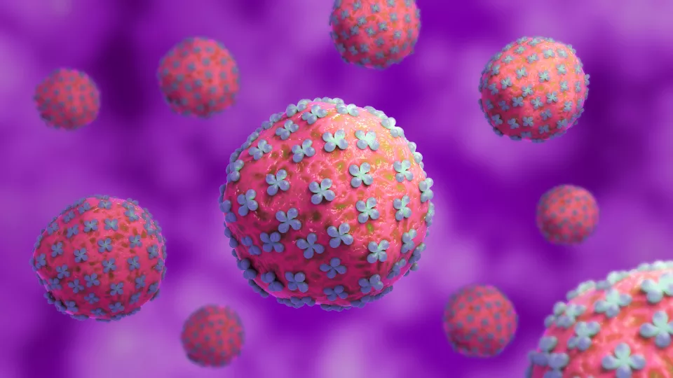 Conceptual biomedical illustration of the Hantaan virus