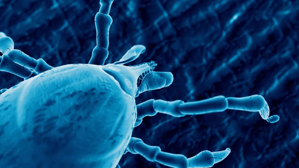 Combating a Deadly Tickborne Virus