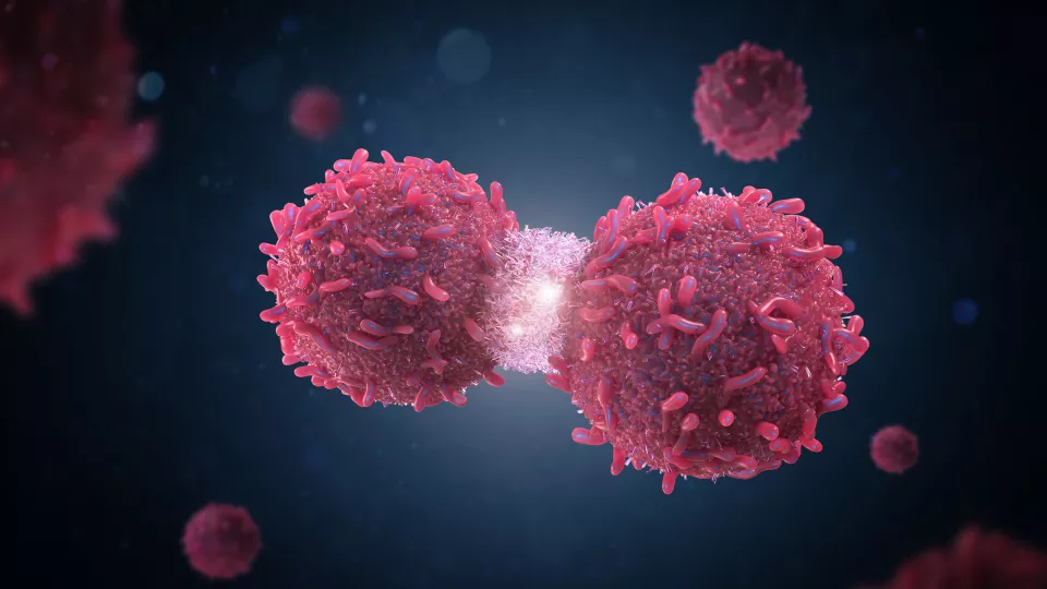 Scientists Discover That Special Immune Cells Stop Metastatic Cancer