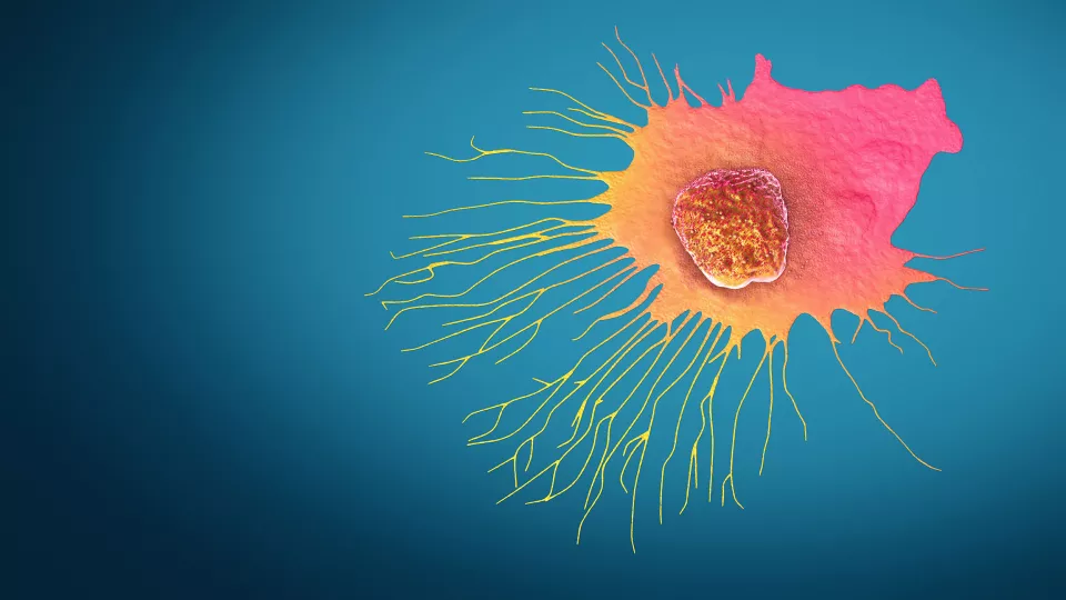 Blocking Metastasis to Treat Breast Cancer