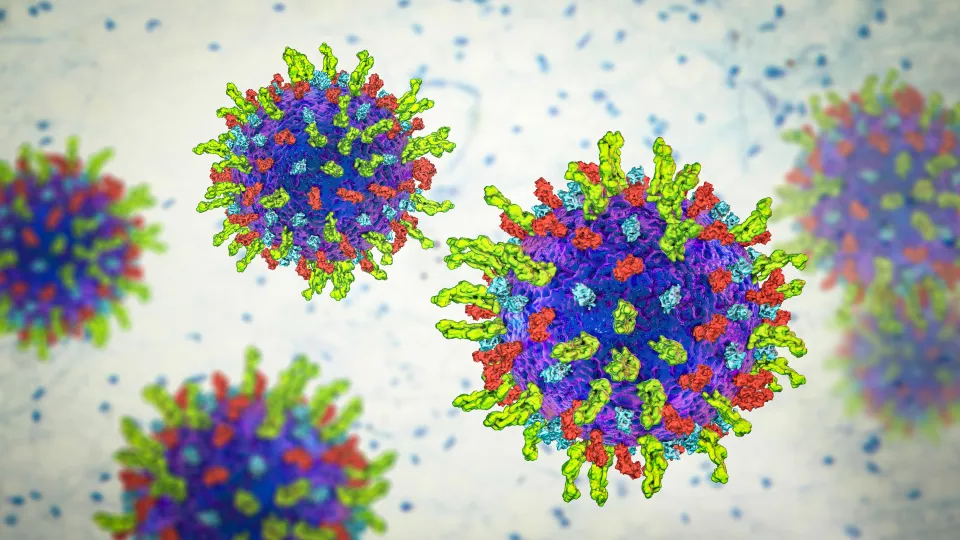 Herpes Simplex Virus Illustration
