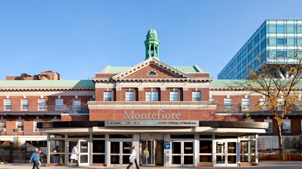 Montefiore Building - Moses
