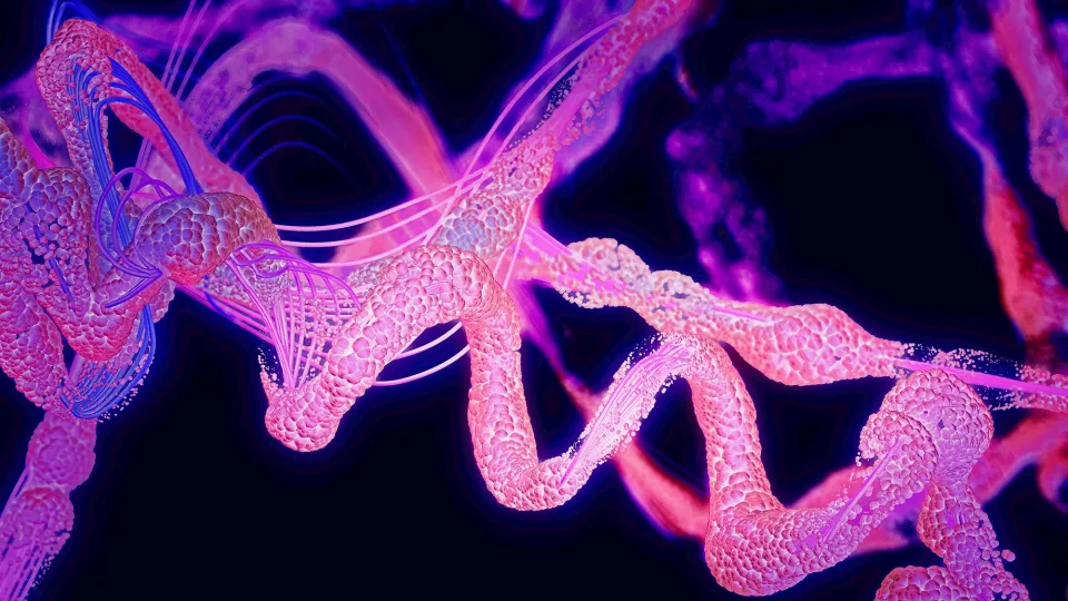Protein, illustration