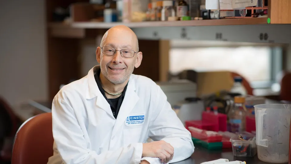 Jeffrey Pessin-Banner