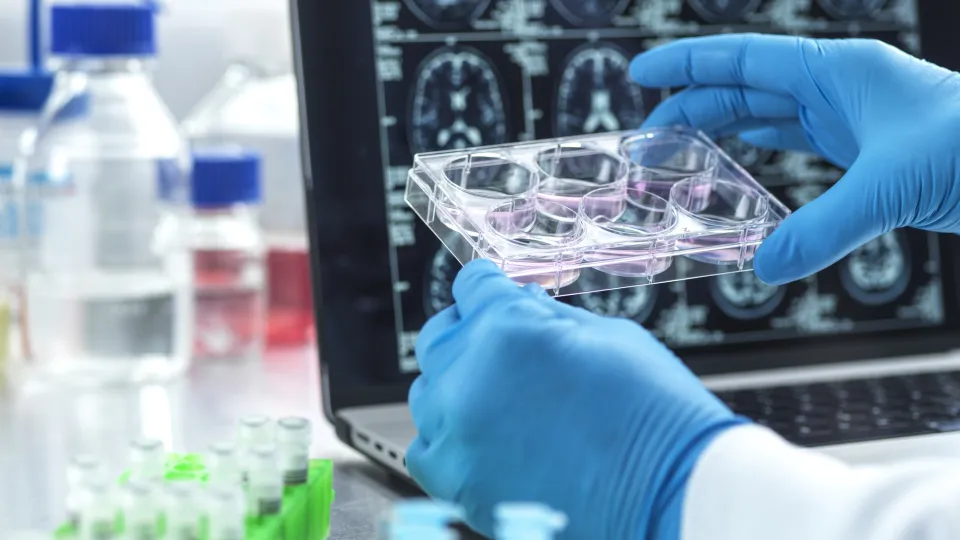 gloved hands holding a petri dish