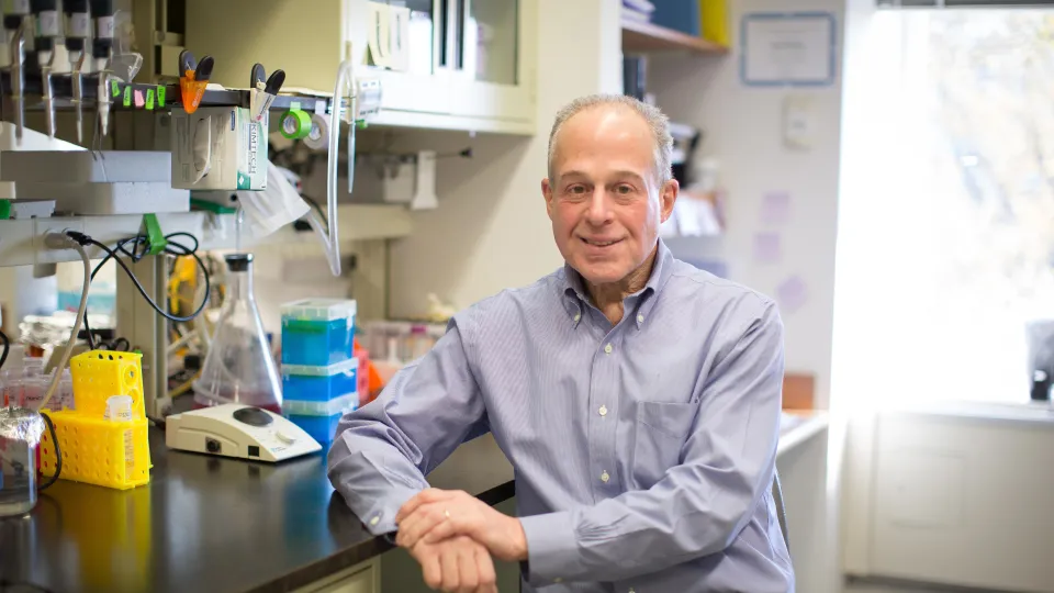Richard N. Kitsis, M.D.