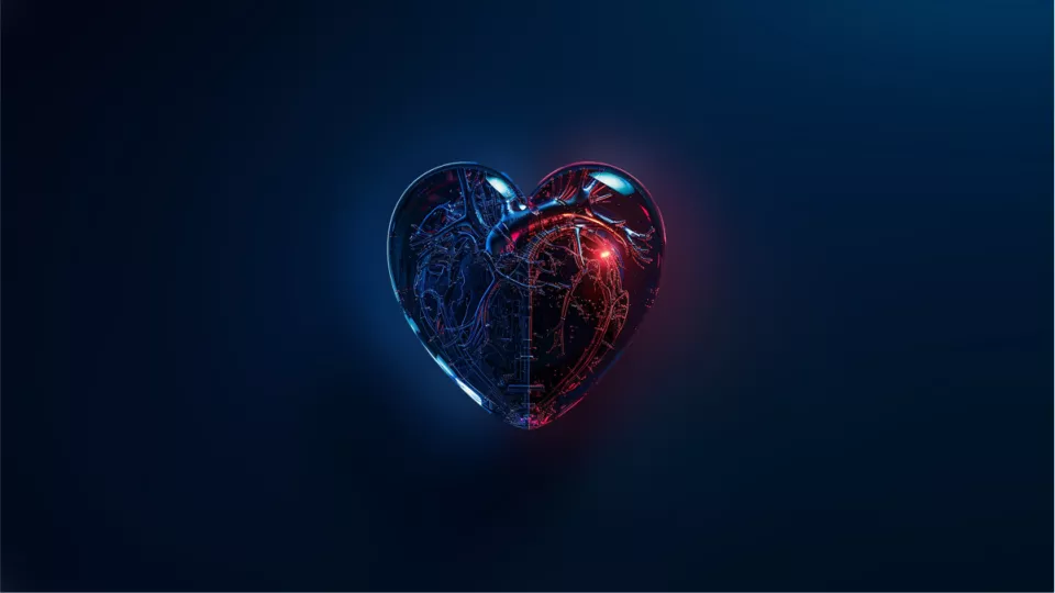 A rendered heart-shaped crystal done in dark navy and deep red tones.
