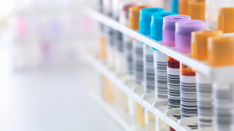 Colorful Test Tubes Banner