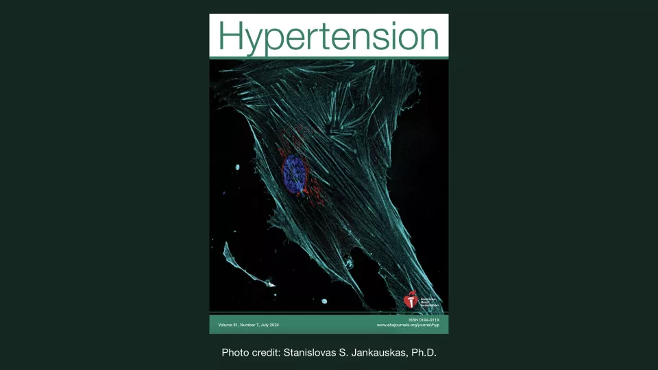 Combatting Frailty in the Elderly by Lowering Insulin Resistance
