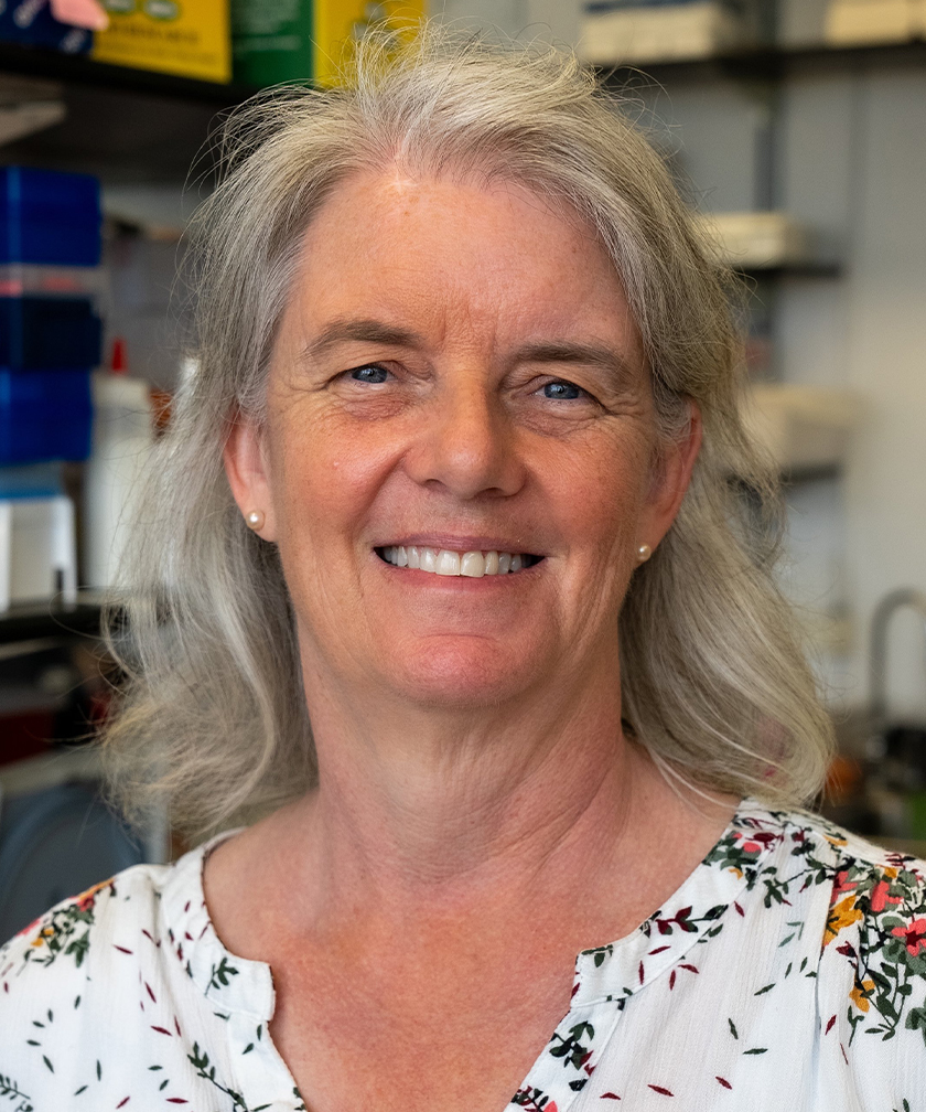 Michelle H. Larsen, Ph.D.